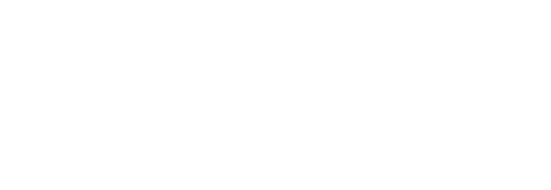 IIRP logo